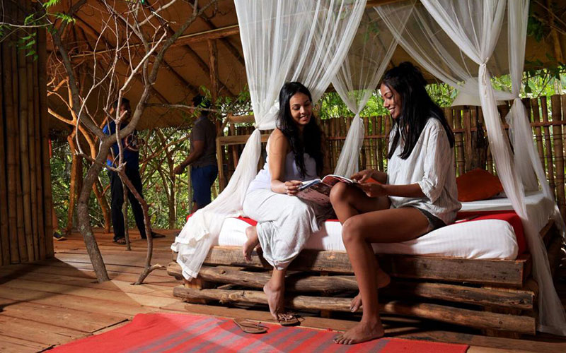 luxury holidays in Yala National Park Sri Lanka - Best hotels to stay in Yala Sri Lanka -  Hotels in Yala Sri Lanka -   Jetwing Yala Prices | Cinnamon Wild Prices - Yala Safari Packages - Saraii Village Prices