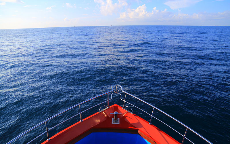 Mirissa Whale Watching -  Whale Watching Trips in Mirissa, Sri Lanka - Whale Watching Trips in Indian Ocean - Whale Watching Tours - Go Whale Watching - Whale Watching Mirissa - Whale Watching in Mirissa
