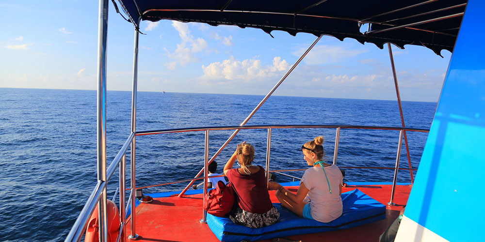 Mirissa Whale Watching -  Whale Watching Trips in Mirissa, Sri Lanka - Whale Watching Trips in Indian Ocean - Whale Watching Tours - Go Whale Watching - Whale Watching Mirissa - Whale Watching in Mirissa