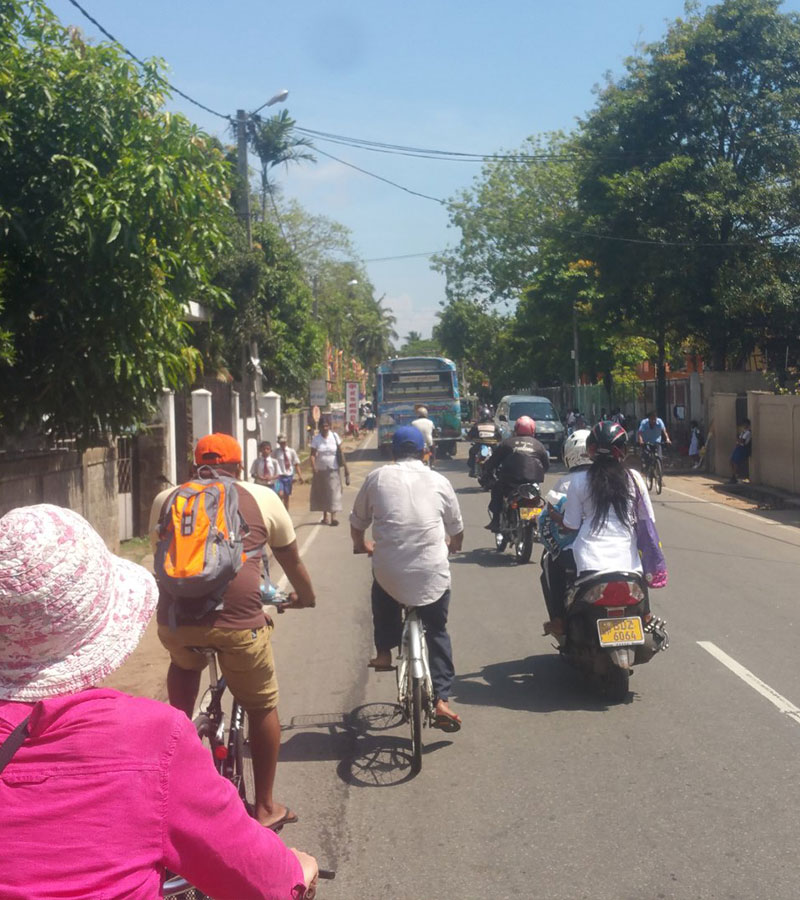 Negombo Cycling Routes - The best cycling routes in Negombo - Cycling Trips in Negombo - Negombo Cycling Trips - Tour to Negombo - Cycle Toursin Sri Lanka - Things to do in Negombo - Travel experiences in Sri Lanka