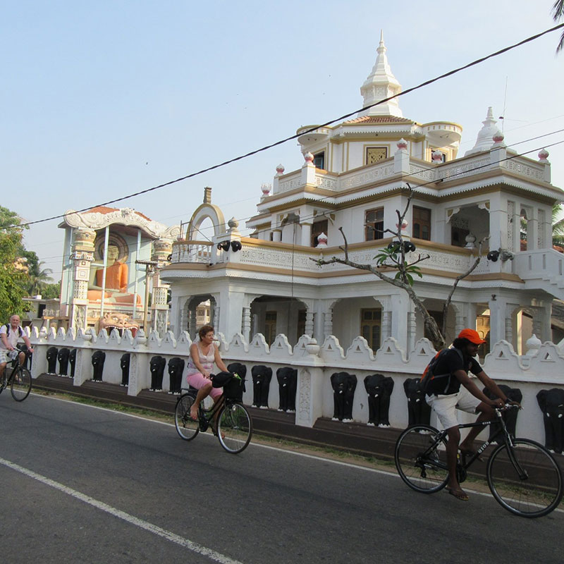 Negombo Cycling Routes - The best cycling routes in Negombo - Cycling Trips in Negombo - Negombo Cycling Trips - Tour to Negombo - Cycle Toursin Sri Lanka - Things to do in Negombo - Travel experiences in Sri Lanka