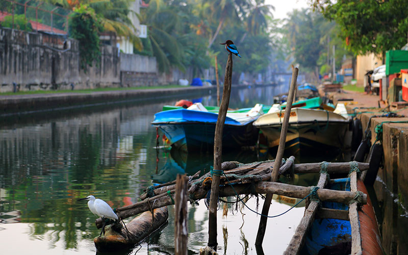Hamilton Canal Boat Tours - Boat Trips in Negombo - Hamilton Canel Boat Trip - Negombo Lagoon Boat Tours - Negombo Hamilton Canel - Things to do in Negombo - Travel experiences in Sri Lanka