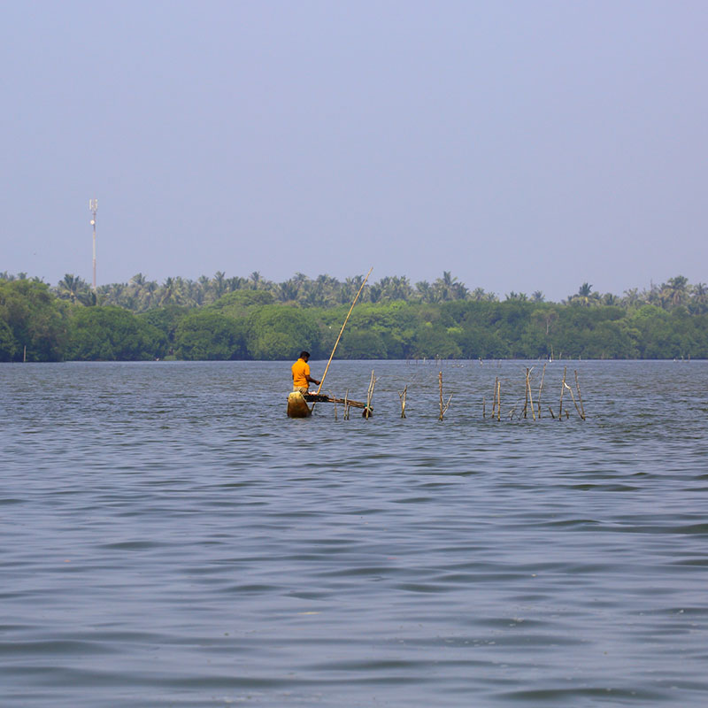 Hamilton Canal Boat Tours - Boat Trips in Negombo - Hamilton Canel Boat Trip - Negombo Lagoon Boat Tours - Negombo Hamilton Canel - Things to do in Negombo - Travel experiences in Sri Lanka