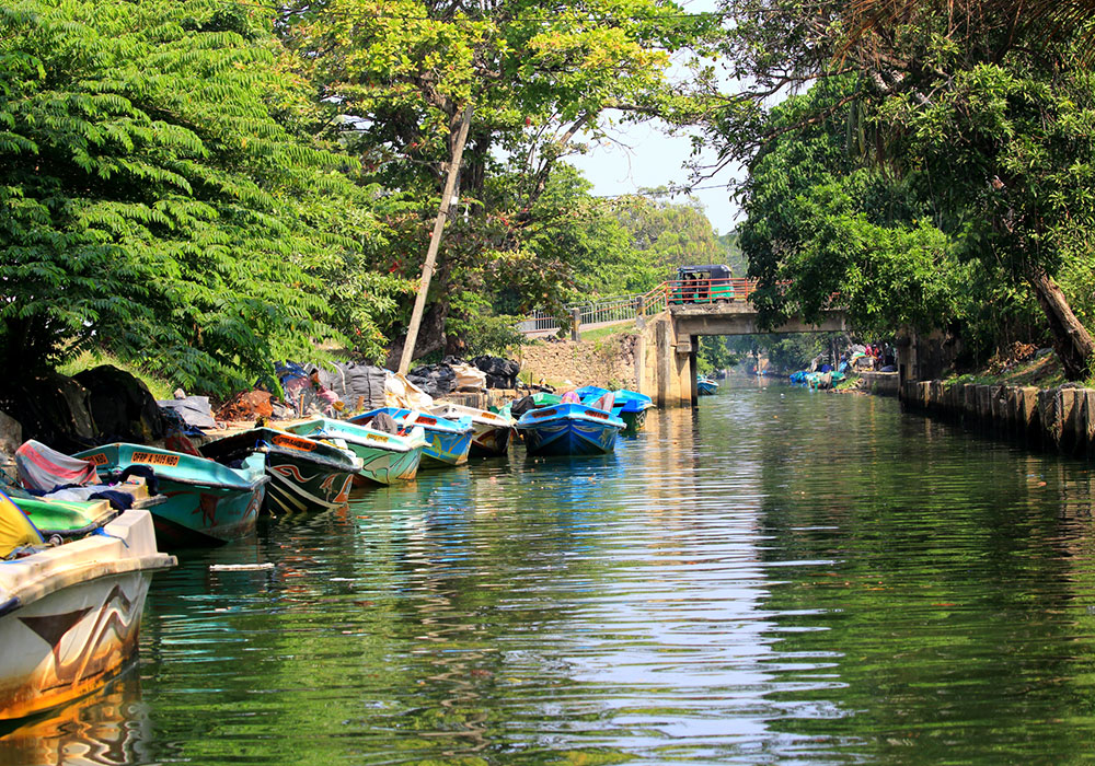 Hamilton Canal Boat Tours - Boat Trips in Negombo - Hamilton Canel Boat Trip - Negombo Lagoon Boat Tours - Negombo Hamilton Canel - Things to do in Negombo - Travel experiences in Sri Lanka
