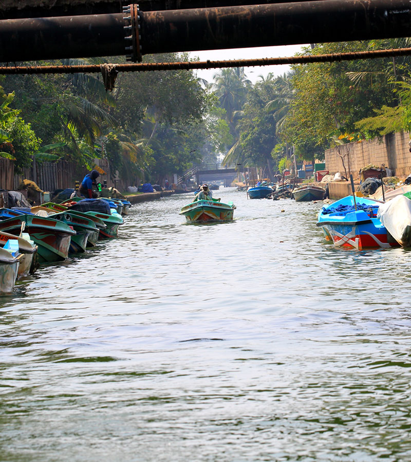 Hamilton Canal Boat Tours - Boat Trips in Negombo - Hamilton Canel Boat Trip - Negombo Lagoon Boat Tours - Negombo Hamilton Canel - Things to do in Negombo - Travel experiences in Sri Lanka