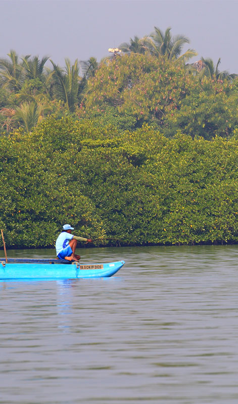 Hamilton Canal Boat Tours - Boat Trips in Negombo - Hamilton Canel Boat Trip - Negombo Lagoon Boat Tours - Negombo Hamilton Canel - Things to do in Negombo - Travel experiences in Sri Lanka