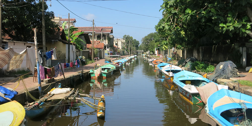 Hamilton Canal Boat Tours - Boat Trips in Negombo - Hamilton Canel Boat Trip - Negombo Lagoon Boat Tours - Negombo Hamilton Canel - Things to do in Negombo - Travel experiences in Sri Lanka