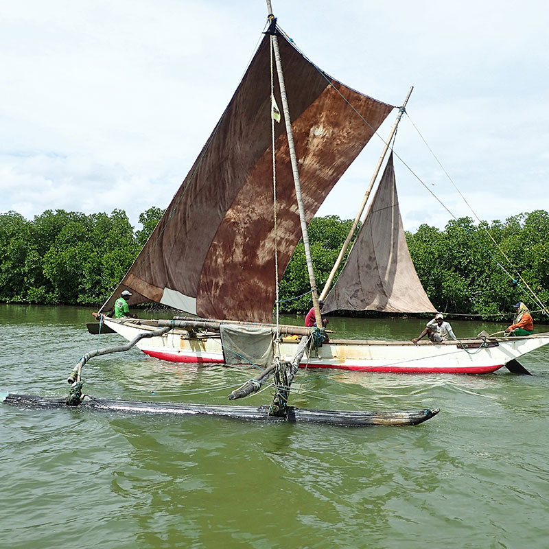Hamilton Canal Boat Tours - Boat Trips in Negombo - Hamilton Canel Boat Trip - Negombo Lagoon Boat Tours - Negombo Hamilton Canel - Things to do in Negombo - Travel experiences in Sri Lanka