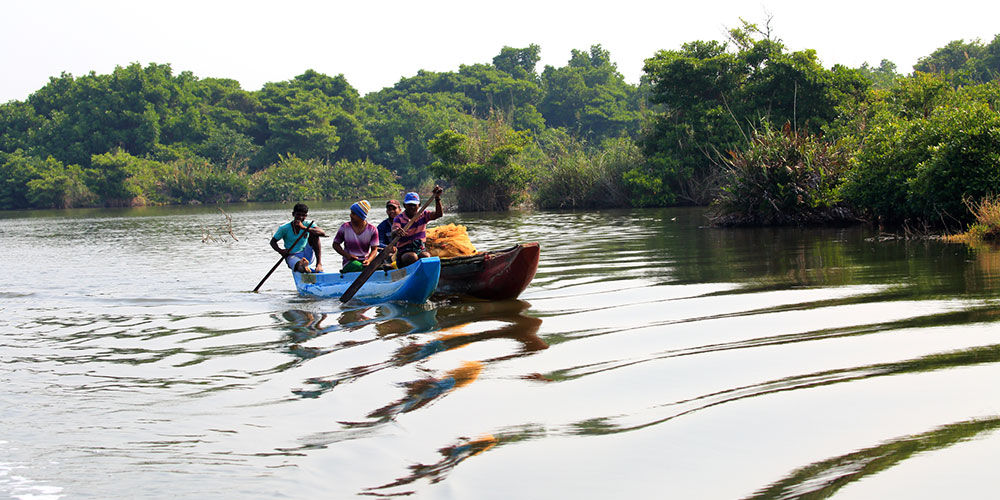 Hamilton Canal Boat Tours - Boat Trips in Negombo - Hamilton Canel Boat Trip - Negombo Lagoon Boat Tours - Negombo Hamilton Canel - Things to do in Negombo - Travel experiences in Sri Lanka