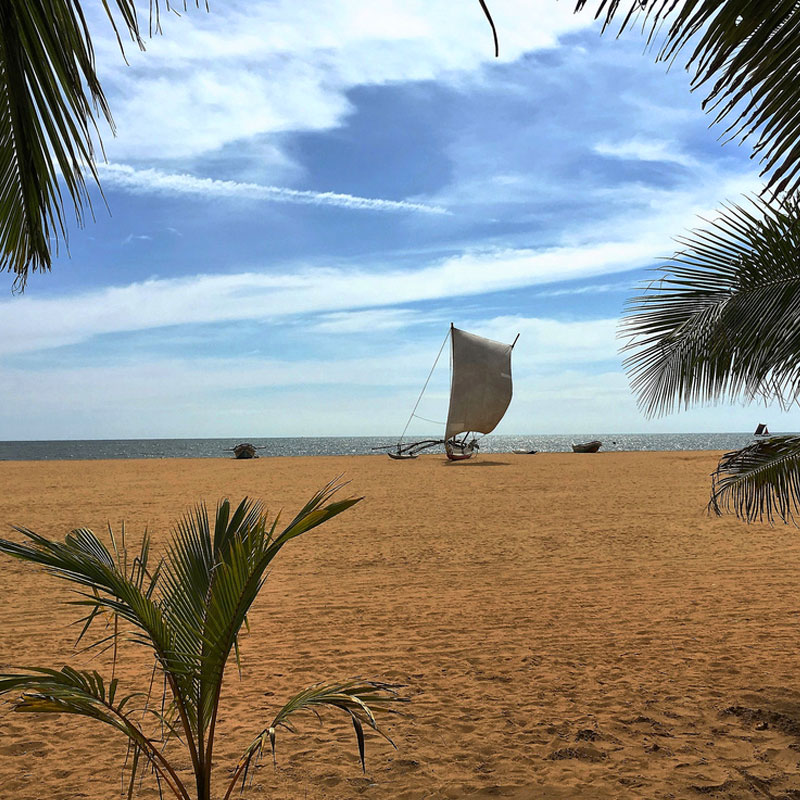 Negombo Beach, Sri Lanka - Beaches in Sri Lanka - Sri Lanka Beaches - Negombo - Things to do in Negombo - Travel experiences in Sri Lanka