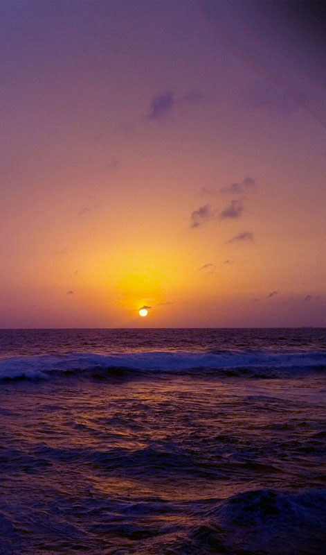 Negombo Beach, Sri Lanka - Beaches in Sri Lanka - Sri Lanka Beaches - Negombo - Things to do in Negombo - Travel experiences in Sri Lanka
