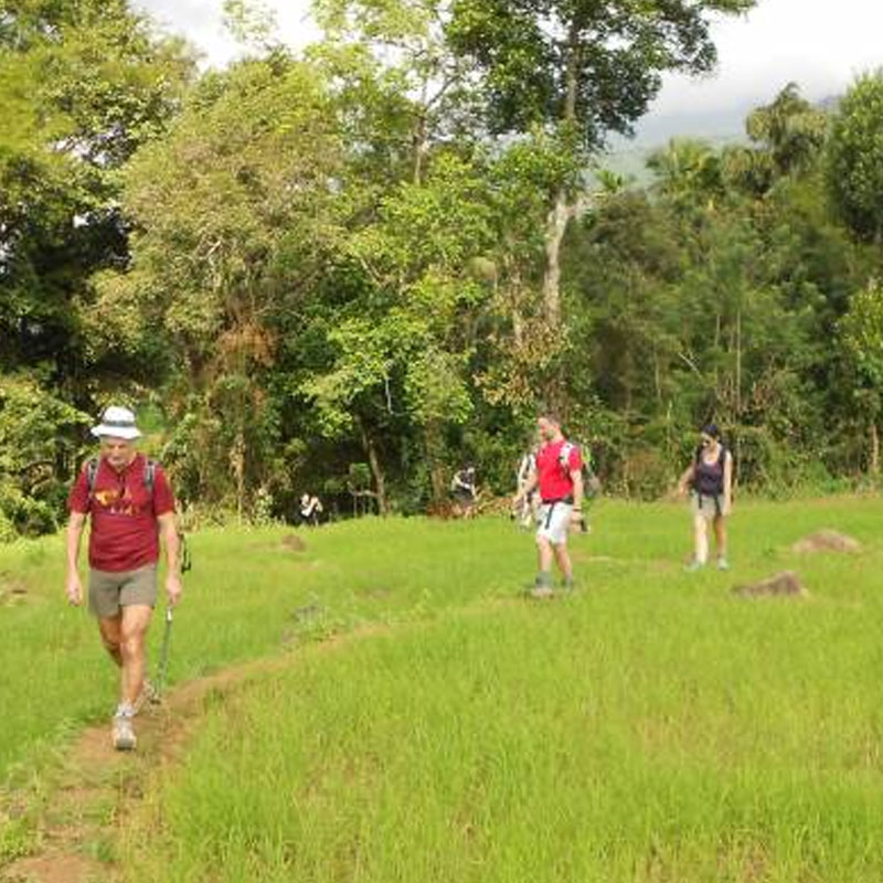 Village Trekking Tours in Sri Lanka - Village Trek, Sri Lanka - Village Walk with a Villager - Village to Village Trekking - Village Walk in Sri Lanka - Trekking Trails in Sri Lanka