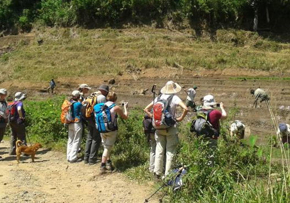 Village Trekking Tours in Sri Lanka - Village Trek, Sri Lanka - Village Walk with a Villager - Village to Village Trekking - Village Walk in Sri Lanka - Trekking Trails in Sri Lanka