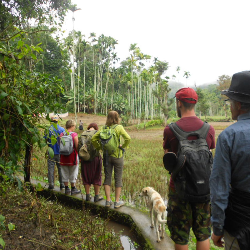 Village Trekking Tours in Sri Lanka - Village Trek, Sri Lanka - Village Walk with a Villager - Village to Village Trekking - Village Walk in Sri Lanka - Trekking Trails in Sri Lanka