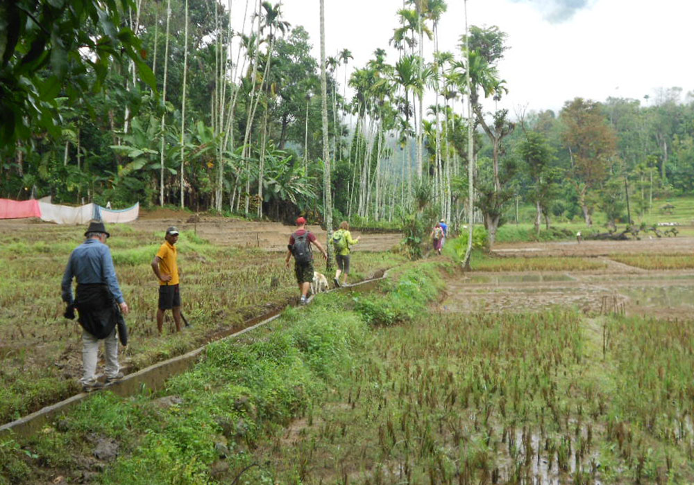 Village Trekking Tours in Sri Lanka - Village Trek, Sri Lanka - Village Walk with a Villager - Village to Village Trekking - Village Walk in Sri Lanka - Trekking Trails in Sri Lanka