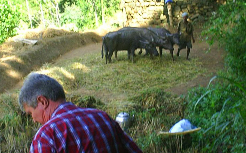 Village Trekking Tours in Sri Lanka - Village Trek, Sri Lanka - Village Walk with a Villager - Village to Village Trekking - Village Walk in Sri Lanka - Trekking Trails in Sri Lanka