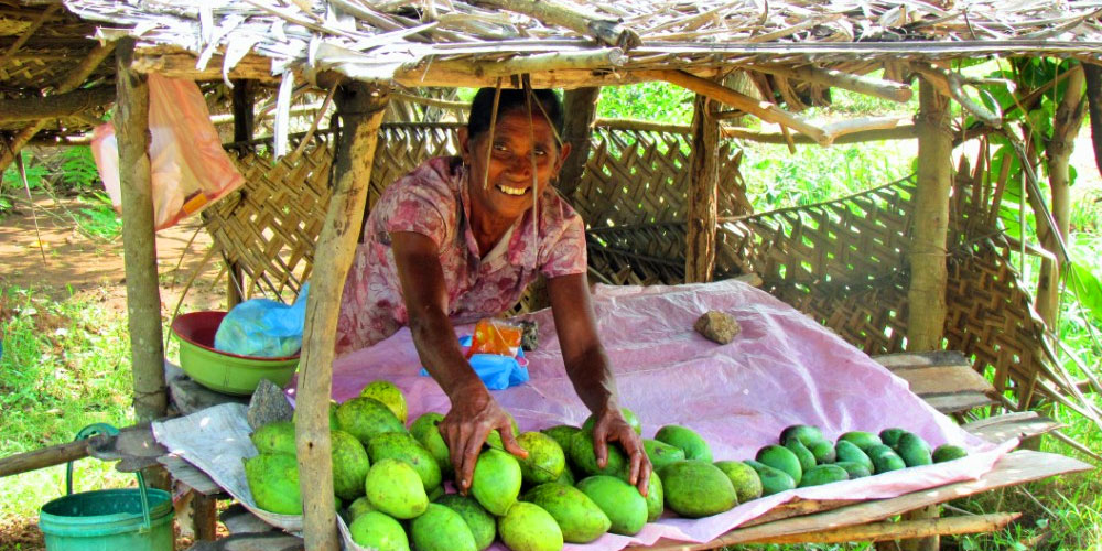 Village Trekking Tours in Sri Lanka - Village Trek, Sri Lanka - Village Walk with a Villager - Village to Village Trekking - Village Walk in Sri Lanka - Trekking Trails in Sri Lanka