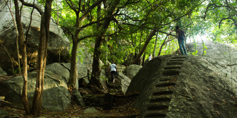 Rock Climbing to Pidurangala - Climbing Pidurangala Rock - Why You Should Visit Pidurangala - Hiking to Pidurangala Rock - Pidurangala Rock Climb