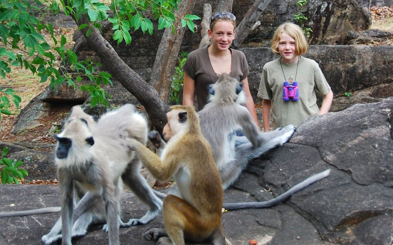 Monkeys in the Ancient City of Polonnaruwa - Experiences in Polonnaruwa - The Monkey Kingdom of Polonnaruwa - Monkey Camp Polonnaruwa - Things to do in Polonnaruwa