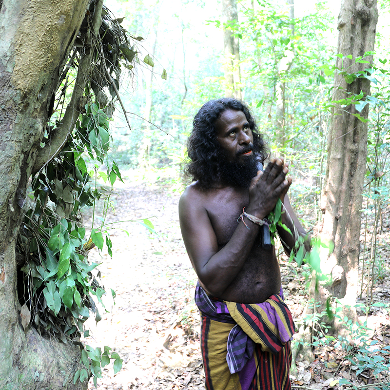 Rathugala Vedda forest walk, Forest walk with vedda in rathugala, Rathugala jungle walk, Vedda walk in Rathugala 