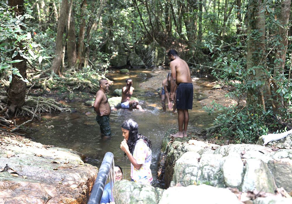 Rathugala Vedda forest walk, Forest walk with vedda in rathugala, Rathugala jungle walk, Vedda walk in Rathugala 