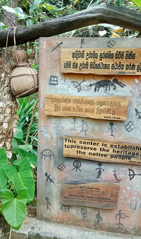 Bird watching tours in Bundala National Park, Bird watching in Bundala National Park, Bundala National Park 
