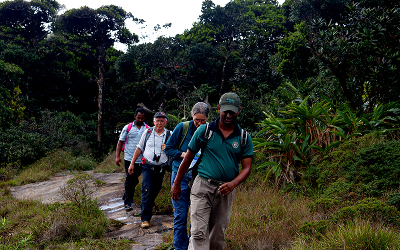 Trekking tours in Knuckles Mountains - Kncukles Trekking Trips - Knuckles Mountains Trekking Tours - Trekking Trips in Knuckles - Knuckles trekking tours - Sri Lanka Trekking Trips - Trekking Trips in Sri Lanka