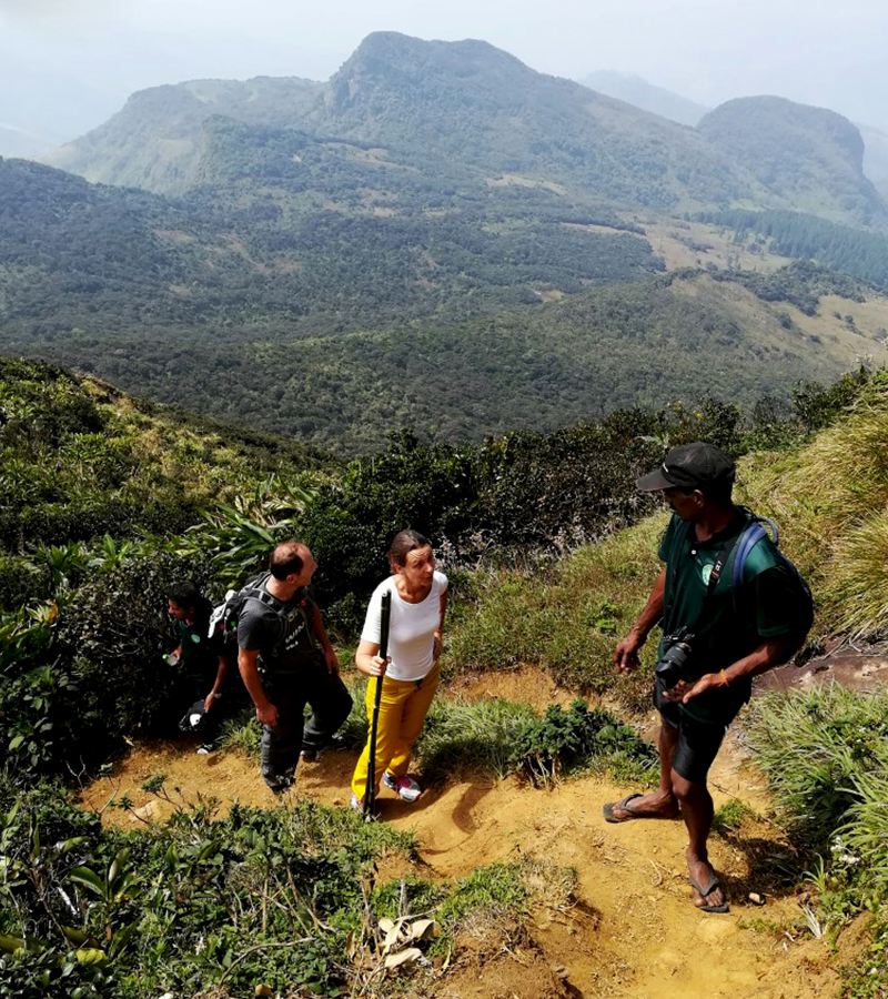 Trekking tours in Knuckles Mountains - Kncukles Trekking Trips - Knuckles Mountains Trekking Tours - Trekking Trips in Knuckles - Knuckles trekking tours - Sri Lanka Trekking Trips - Trekking Trips in Sri Lanka
