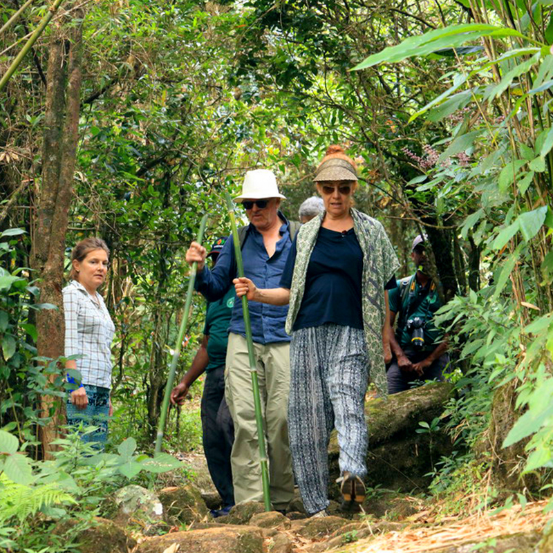 Trekking tours in Knuckles Mountains - Kncukles Trekking Trips - Knuckles Mountains Trekking Tours - Trekking Trips in Knuckles - Knuckles trekking tours - Sri Lanka Trekking Trips - Trekking Trips in Sri Lanka