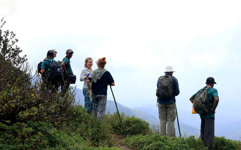 Trekking tours in Knuckles Mountains - Kncukles Trekking Trips - Knuckles Mountains Trekking Tours - Trekking Trips in Knuckles - Knuckles trekking tours - Sri Lanka Trekking Trips - Trekking Trips in Sri Lanka