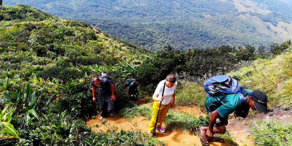 Trekking tours in Knuckles Mountains - Kncukles Trekking Trips - Knuckles Mountains Trekking Tours - Trekking Trips in Knuckles - Knuckles trekking tours - Sri Lanka Trekking Trips - Trekking Trips in Sri Lanka