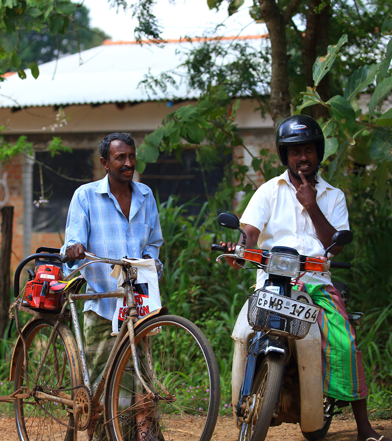 Sri Lanka Trip Planning - Sri Lanka Itinerary Planning - Tailor made tours to Sri Lanka - Tailor Make Holidays in Sri Lanka - Sri Lanka Tailor Made Tours and Holidays