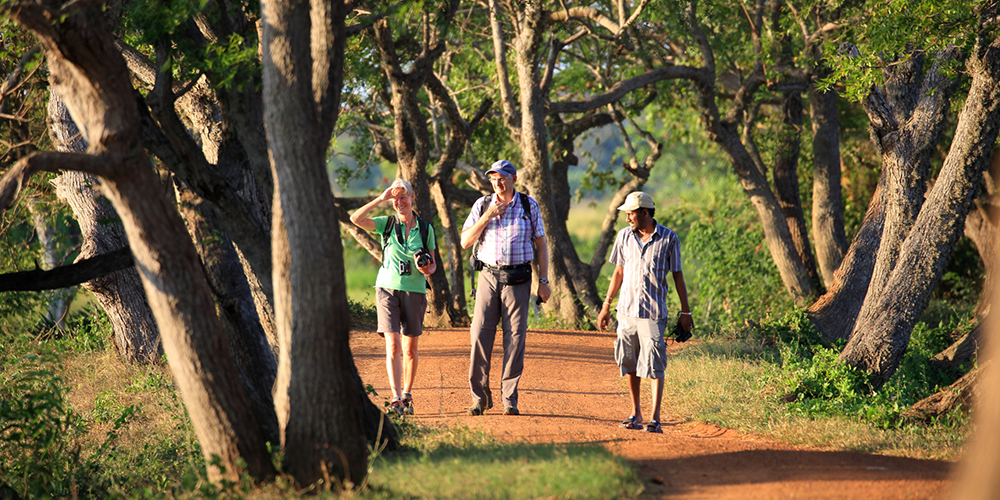 Sri Lanka Trip Planning - Sri Lanka Itinerary Planning - Tailor made tours to Sri Lanka - Tailor Make Holidays in Sri Lanka - Sri Lanka Tailor Made Tours and Holidays