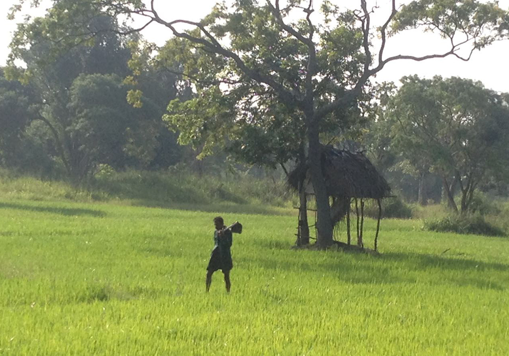 Cycling in Sigiriya, Cycling in Sri Lanka, Tours in Sri Lanka, Cycling Experience Sri Lanka, Cycle Tours Sri Lanka, Cycle Tours Sigiriya, Cycling Tour in Sri Lanka, Cycling Experience