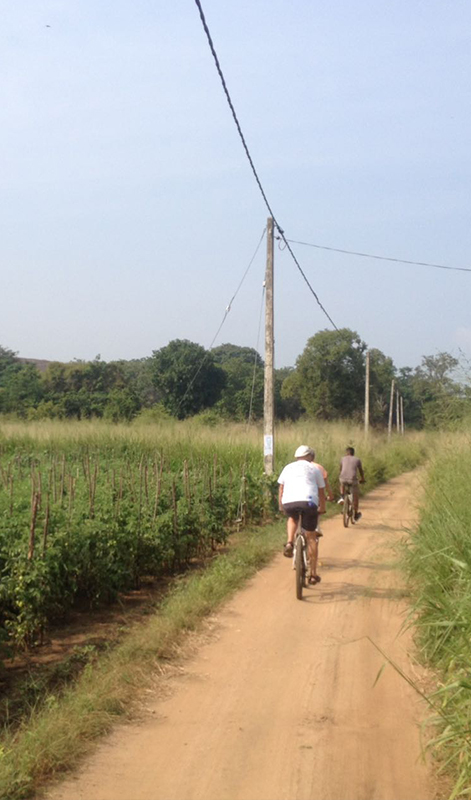 Cycling in Sigiriya, Cycling in Sri Lanka, Tours in Sri Lanka, Cycling Experience Sri Lanka, Cycle Tours Sri Lanka, Cycle Tours Sigiriya, Cycling Tour in Sri Lanka, Cycling Experience