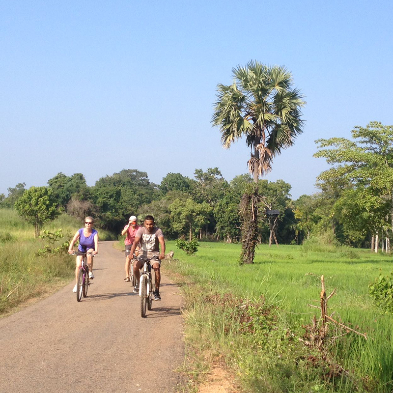 Cycling in Sigiriya, Cycling in Sri Lanka, Tours in Sri Lanka, Cycling Experience Sri Lanka, Cycle Tours Sri Lanka, Cycle Tours Sigiriya, Cycling Tour in Sri Lanka, Cycling Experience