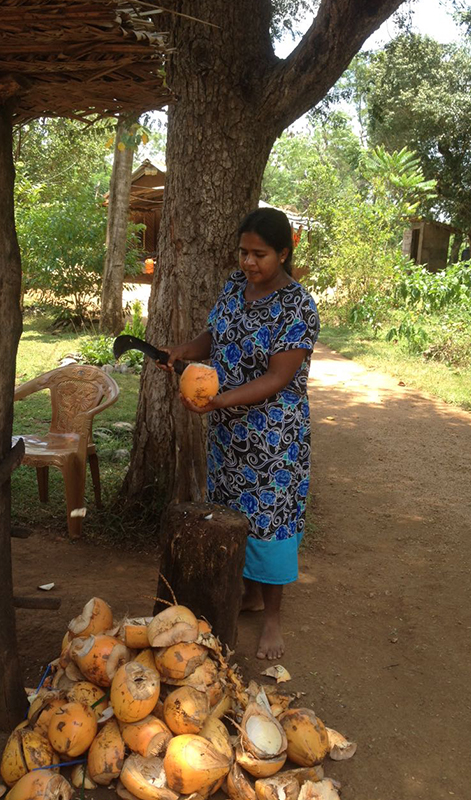 Cycling in Sigiriya, Cycling in Sri Lanka, Tours in Sri Lanka, Cycling Experience Sri Lanka, Cycle Tours Sri Lanka, Cycle Tours Sigiriya, Cycling Tour in Sri Lanka, Cycling Experience