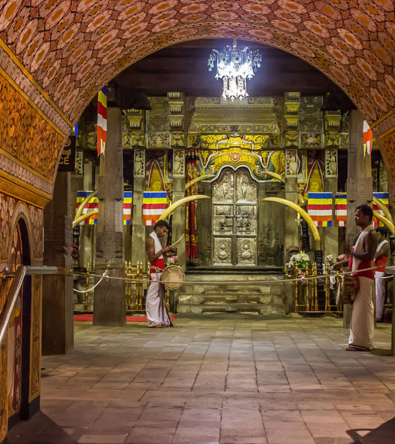 Kandy City Tour -  City Tours in Kandy, Sri Lanka - Explore Kandy town with a lady guide, Sri Lanka - Things to do in Kandy, Experiences in Kandy - Kandy Tours - Cultural Tours in Kandy