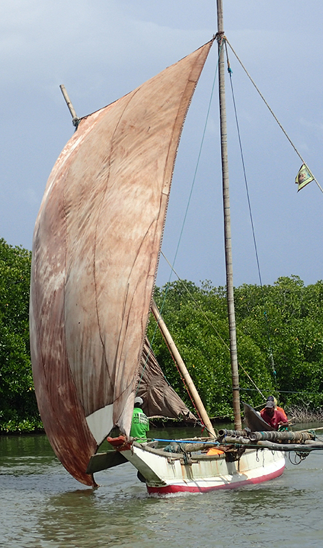 Sri Lanka Trip Planning - Sri Lanka Itinerary Planning - Tailor made tours to Sri Lanka - Tailor Make Holidays in Sri Lanka - Sri Lanka Tailor Made Tours and Holidays