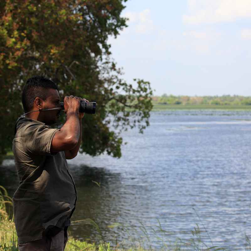 Jungle trekking Tours in Sigiriya, Sigiriya Jungle Tours, Trekking tours in Habarana, Sigiriya jungle trekking tours, Jungle trekking tours in Sri Lanka, Nature walks and nature trails in Sigiriya, Nature trails in Habarana