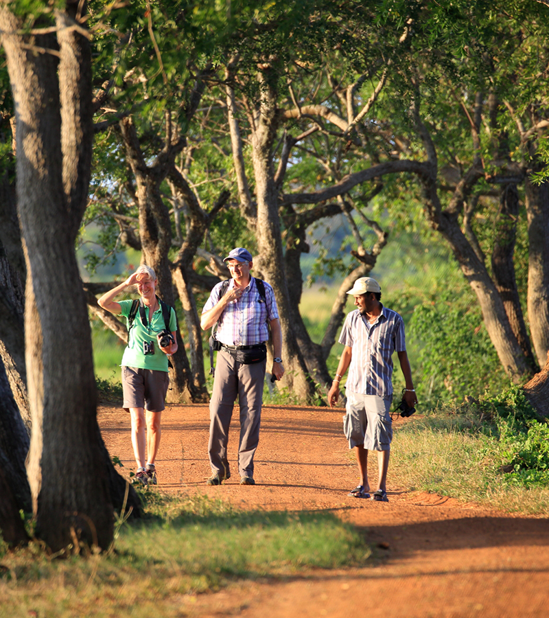 Jungle trekking Tours in Sigiriya, Sigiriya Jungle Tours, Trekking tours in Habarana, Sigiriya jungle trekking tours, Jungle trekking tours in Sri Lanka, Nature walks and nature trails in Sigiriya, Nature trails in Habarana