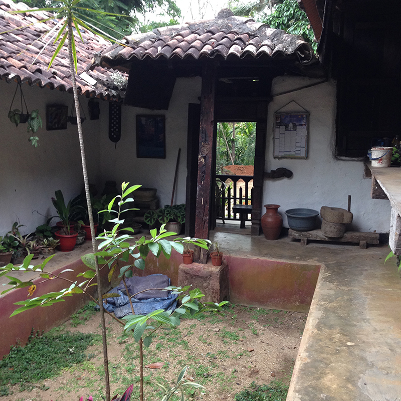 Villages Trekking in sri lanka, Sri lanka village walk, rural village walk with locals in sri lanka,sri lanka village walk with locals, Village walk in kandy, Kandyan Country Walk in Sri Lanka, Kandy Tours in Sri Lanka, Sri Lanka Experiences, Kandyan Country Walk with Traditional Breakfast in Sri Lanka, Kandyan Culture Walk with a Villager in the Afternoon