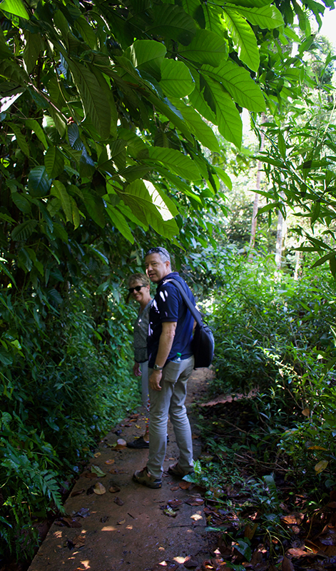 Villages Trekking in sri lanka, Sri lanka village walk, rural village walk with locals in sri lanka,sri lanka village walk with locals, Village walk in kandy, Kandyan Country Walk in Sri Lanka, Kandy Tours in Sri Lanka, Sri Lanka Experiences, Kandyan Country Walk with Traditional Breakfast in Sri Lanka, Kandyan Culture Walk with a Villager in the Afternoon