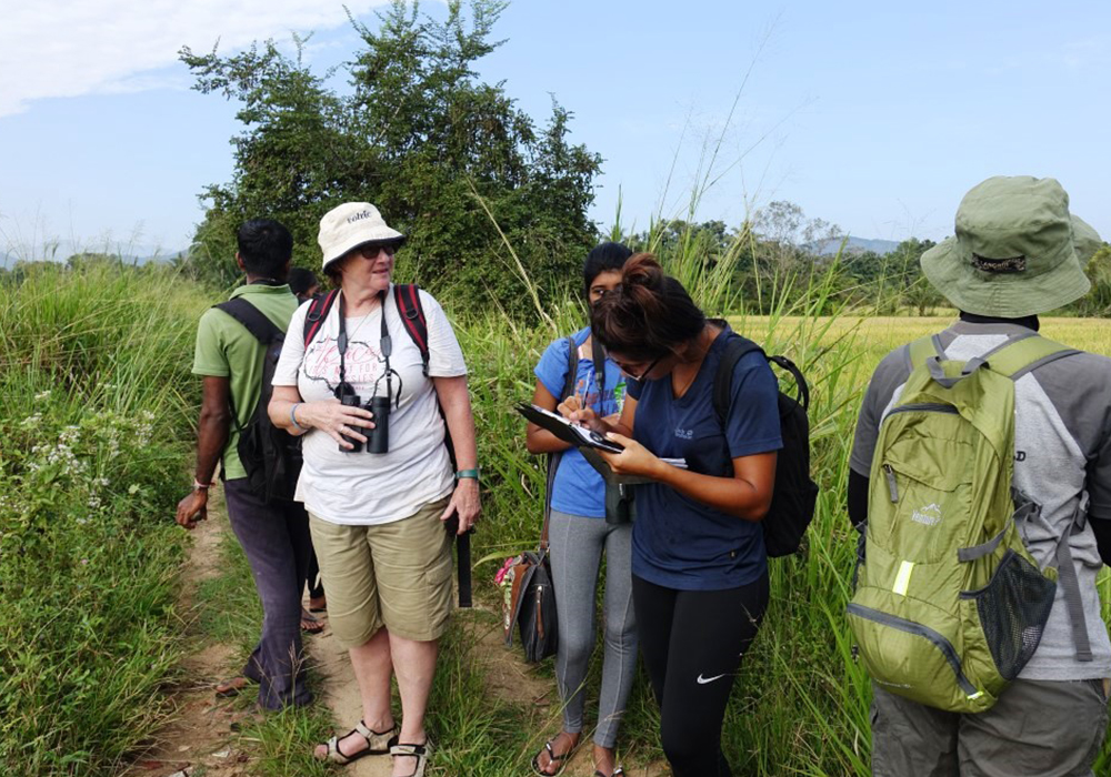 Wild Elephant Observation  in Sri Lanka - Wasgamuwa National park- Conservation Expedition in Wasgamuwa - Elephant Watching in wasgamuwa National Park - Wasgamuwa, Sri Lanka