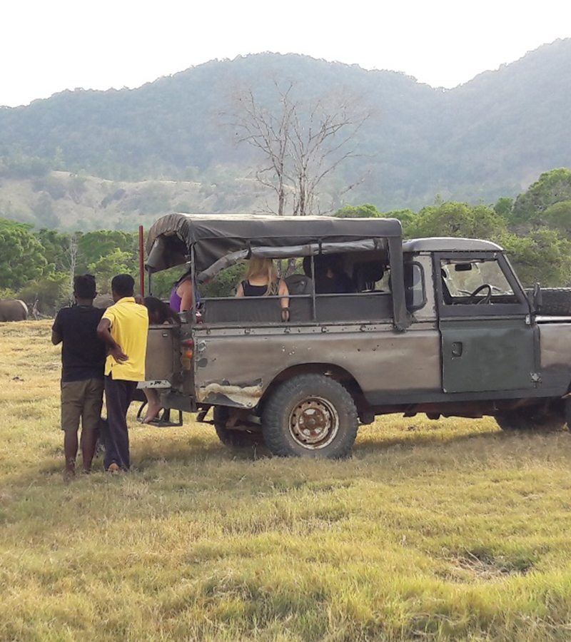 Wild Elephant Observation  in Sri Lanka - Wasgamuwa National park- Conservation Expedition in Wasgamuwa - Elephant Watching in wasgamuwa National Park - Wasgamuwa, Sri Lanka