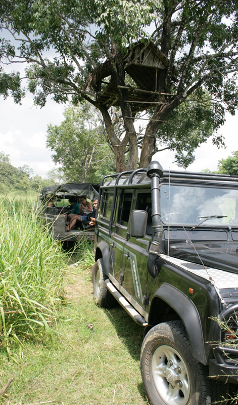 Wild Elephant Observation  in Sri Lanka - Wasgamuwa National park- Conservation Expedition in Wasgamuwa - Elephant Watching in wasgamuwa National Park - Wasgamuwa, Sri Lanka