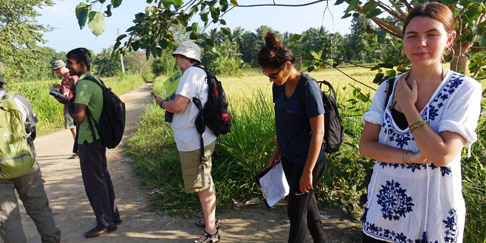 Wild Elephant Observation  in Sri Lanka - Wasgamuwa National park- Conservation Expedition in Wasgamuwa - Elephant Watching in wasgamuwa National Park - Wasgamuwa, Sri Lanka