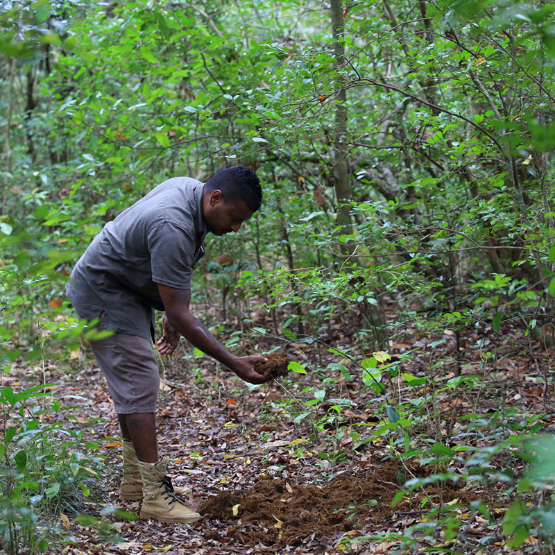 Habarana Nature Trails - Nature Trail in Sri Lanka - Habarana Jungle - Jungle Walk in Sigiriya - Habarana - Habarana Nature Trails - Sundowner in Habrana - Sundowner on a rock cliff - Jungle Walk in Habrana, Sri Lanka - Sri Lanka Nature Trail - Nature Trail in Habarana