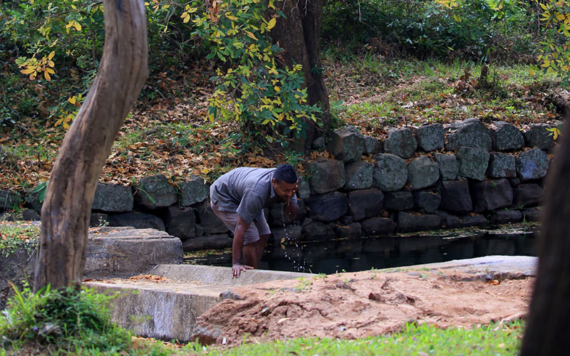 Habarana Nature Trails - Nature Trail in Sri Lanka - Habarana Jungle - Jungle Walk in Sigiriya - Habarana - Habarana Nature Trails - Sundowner in Habrana - Sundowner on a rock cliff - Jungle Walk in Habrana, Sri Lanka - Sri Lanka Nature Trail - Nature Trail in Habarana