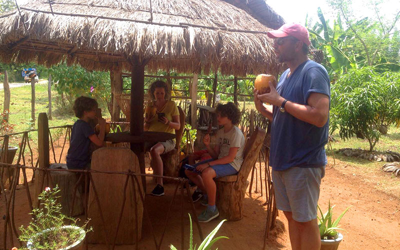Sri Lanka - Sigiriya Jeep Tours - Authentic Local Experience in Sigiriya, Sri Lanka - Sigiriya Village Tours - Travel around sigiriya - Open top jeep tours in Sigiriya, Sri Lanka - Sigiriya Village Tours on Jeep
